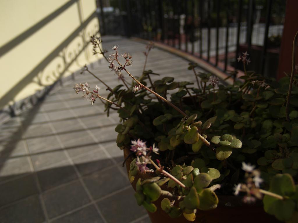 Una Noche Mas B & B Montevideo Dış mekan fotoğraf